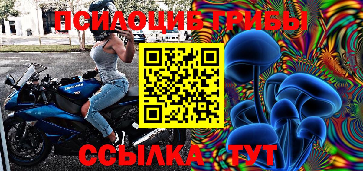 Галлюциногенные грибы прущие грибы  Вход с VPN  Галлюциногенные грибы мицелий  Гудермес 