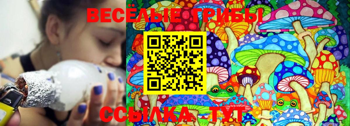 Псилоцибиновые грибы мухоморы Гудермес