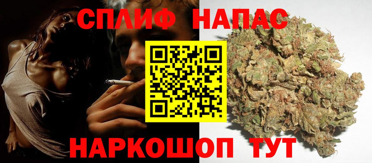 Конопля тримм  Вход с VPN  Гудермес  Каннабис конопля  Канабис конопля  Конопля Ganja 